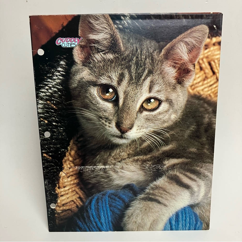 Vintage Folder Kitten Bundle of 2 80s School Supply 1987 - Picture 10 of 17